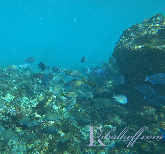 подводный риф Пунта Кане