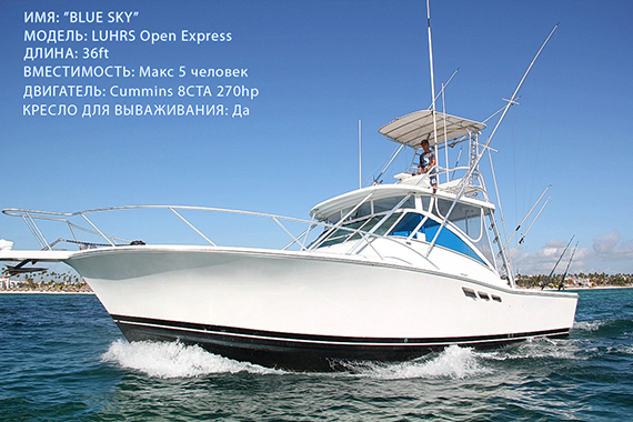 Моторная лодка Блю Скай чартер Доминикана