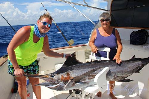 blue marlin joanna01