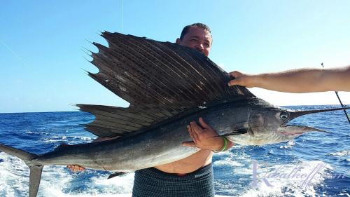 parusnik punta cana2016