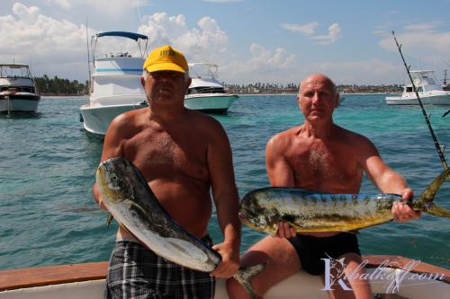 ribalka dorado punta cana02