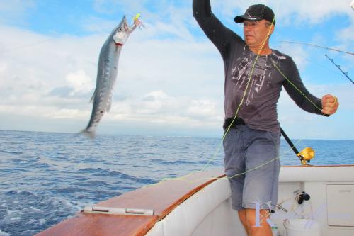 ribalkoff barracuda 2