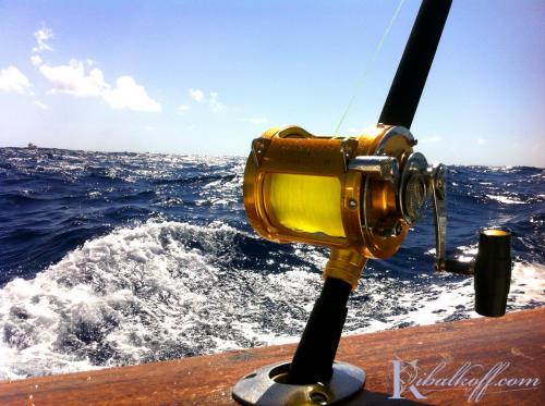 ribalkoff punta cana 11