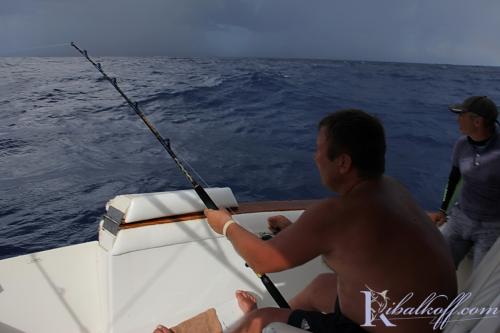 ribalkoff yura marlin09