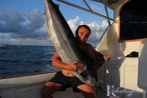 ribalkoff yura marlin59