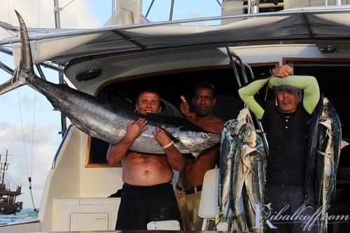 ribalkoff yura marlin89